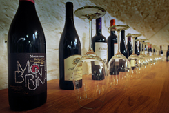 Verkostungen in der Wein-Bastion Ulm