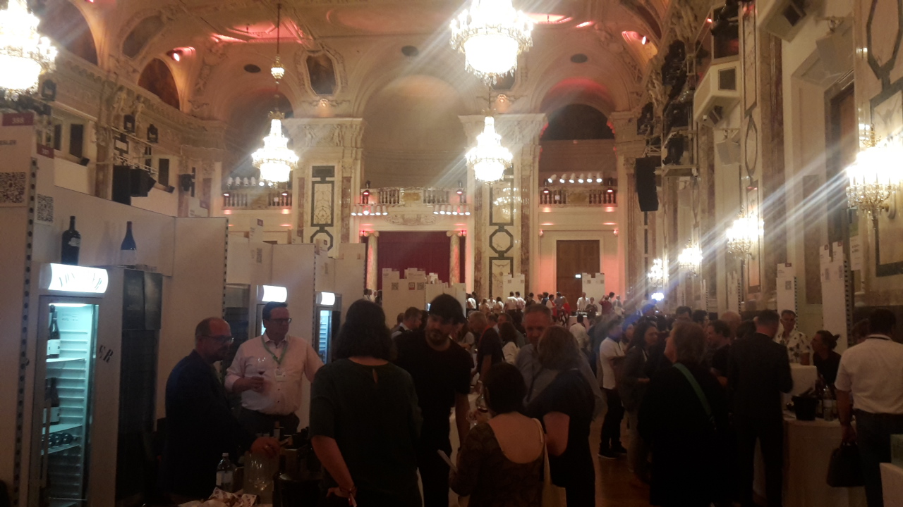 Bild zu Die VieVinum Weinmesse: Österreich und der (Weißwein)Jahrgang 2021