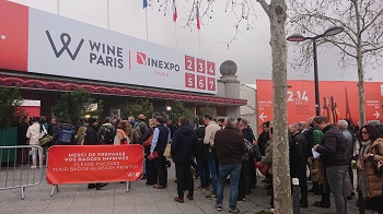Bild zu Die Wine Paris 2024 (Teil 1)