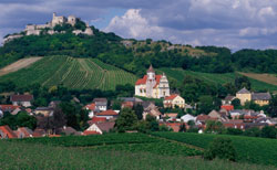 Weingut Dürnberg 