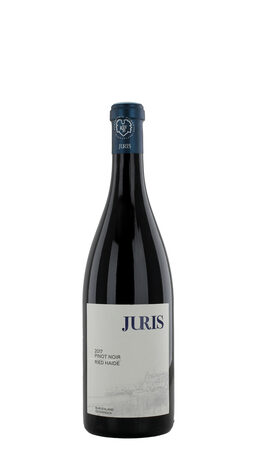 2017 Juris - Pinot Noir Haide - Neusiedlersee QW