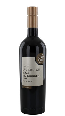 2022 Alde Gott - Ausblick Spätburgunder Spätlese trocken