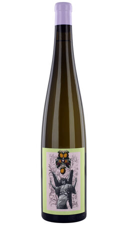 2024 Aufricht - Acht Punkt Fünf - Riesling
