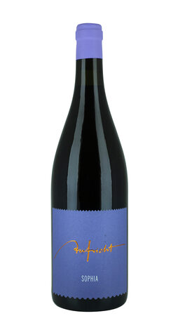 2023 Aufricht - Sophia Spätburgunder