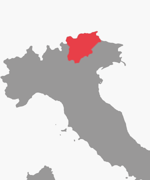 Südtirol & Trentino